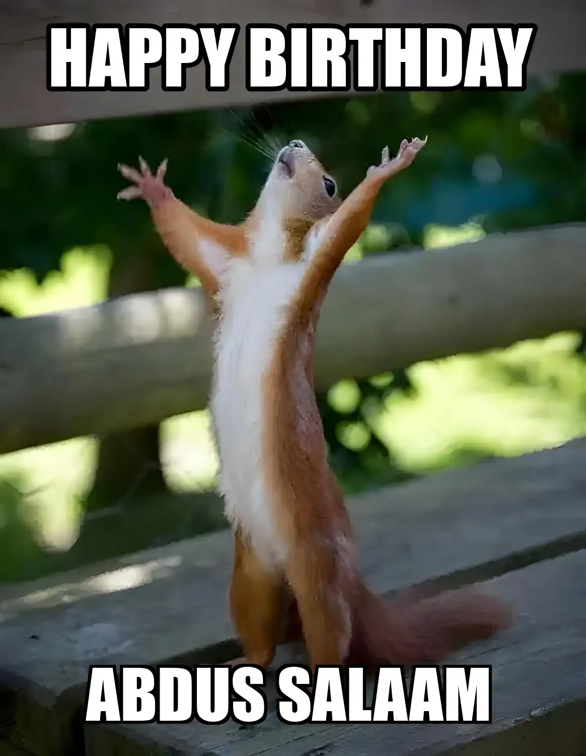 Happy Birthday Abdus Salaam Happy Squirrel Meme